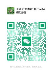 wechat